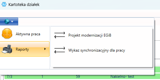 Widok menu raportów