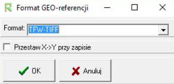 Widok okna 'Format GEO-referencji'