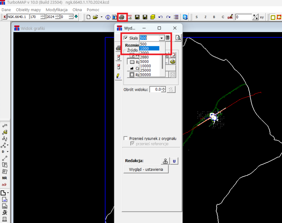 Widok okna wydruku z zaznaczonymi opcjami