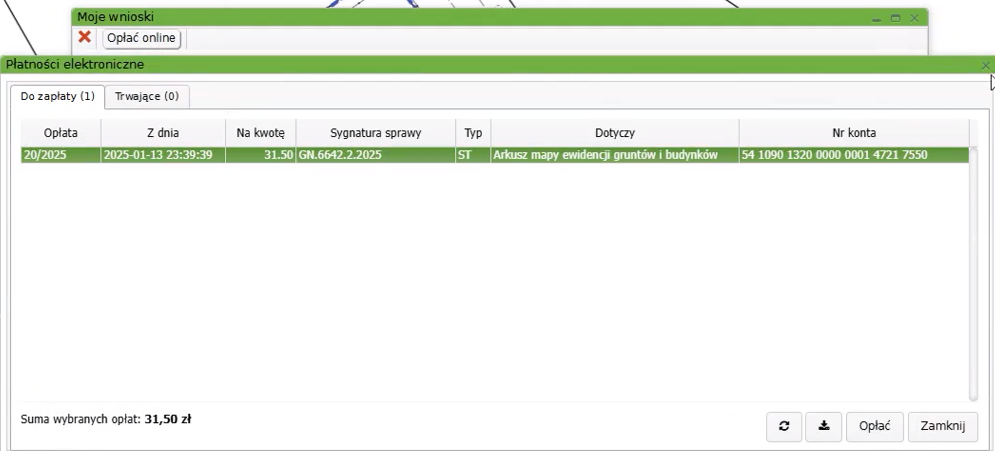 Widok okna płatności elektronicznych