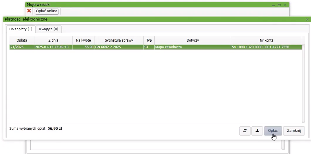 Widok okna płatności elektronicznych