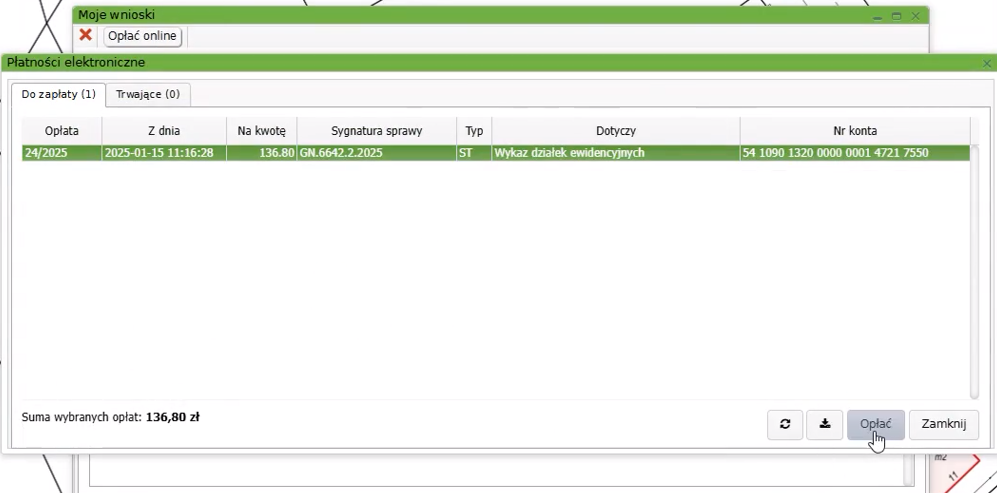 Widok okna płatności elektronicznych