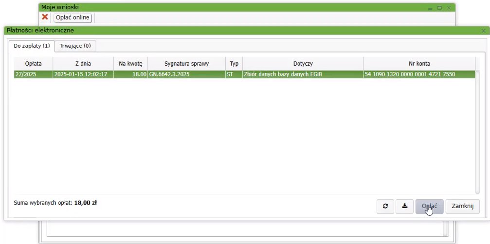 Widok okna płatności elektronicznych