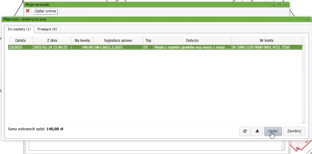 Widok okna płatności elektronicznych