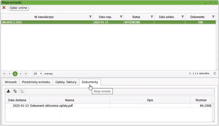 Widok okna: Moje wnioski