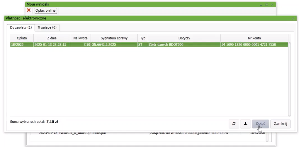 Widok okna płatności elektronicznych