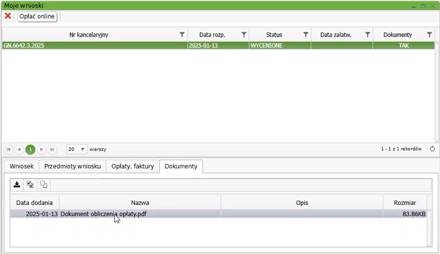Widok okna: Moje wnioski