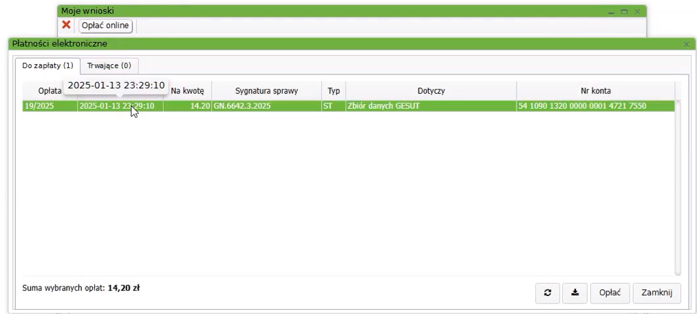 Widok okna płatności elektronicznych
