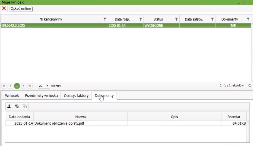 Widok okna: Moje wnioski