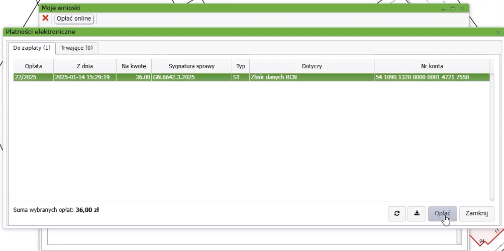 Widok okna płatności elektronicznych