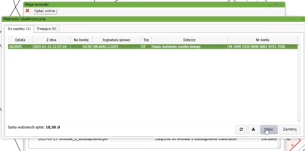 Widok okna płatności elektronicznych