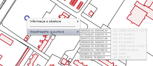 Widok okna z wyświetlonymi współrzędnymi w punkcie wybranym z mapy w różnych układach odniesienia